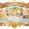 Стенд “Географія України рідний край”