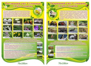 Тваринний та рослинний світ Сумщини