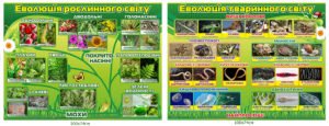 Стенди з біології “Еволюція рослинного та тваринного світу”