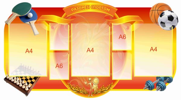 Разом зі спортом