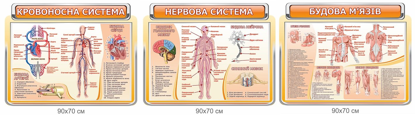 Стенди