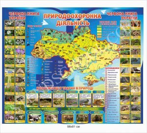“Природоохоронна діяльність” стенд