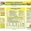 Стенд "Правильне харчування - гармонійний розвиток"