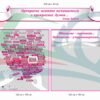 Стенди для центру гендерної культури