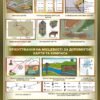 Плакат “Військова топографія”