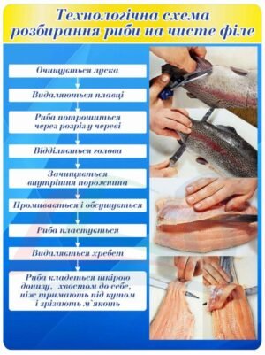 Стенд “Технологічна схема розбирання риби на чисте філе”