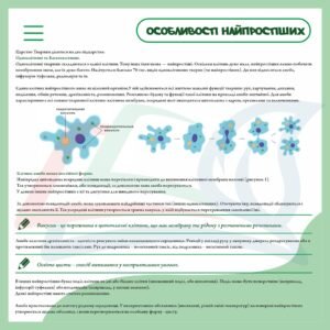 Стенд з біології “Особливості найпростіших організмів”