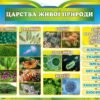 Стенд з біології "Царства живої природи"
