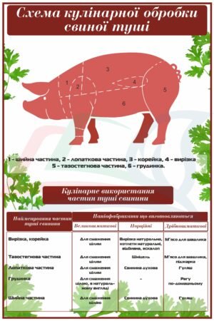 Стенд “Схема кулінарної обробки свиної туші”
