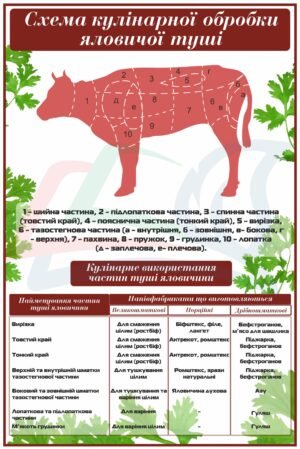 Стенд “Схема кулінарної обробки яловичої туші”