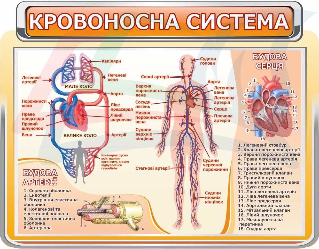 Стенди