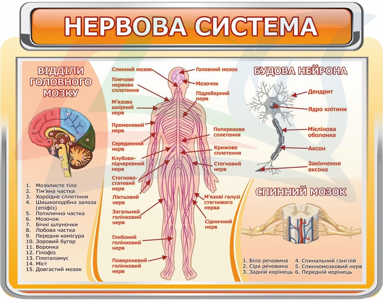 Стенди
