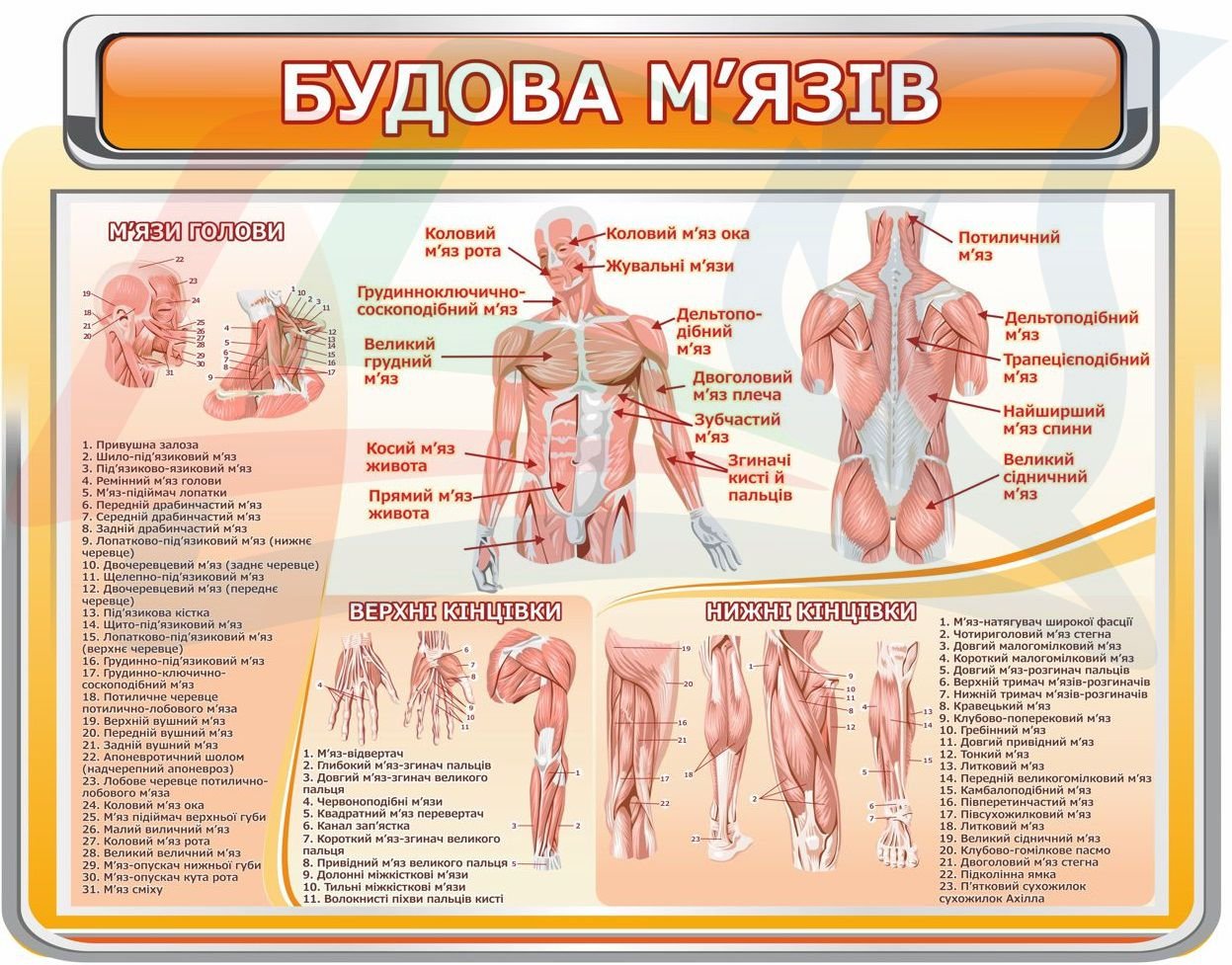 Стенди