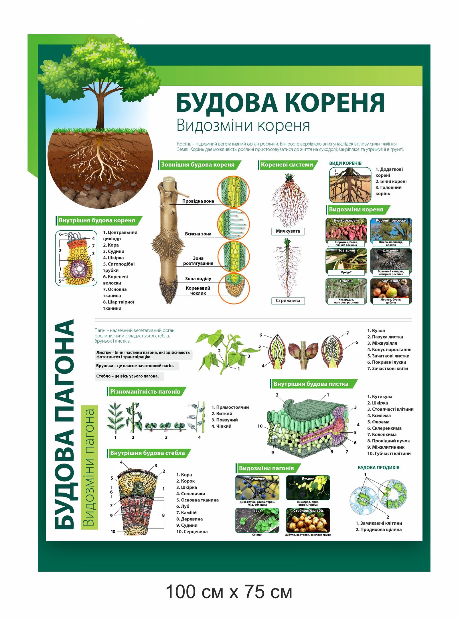 Стенди