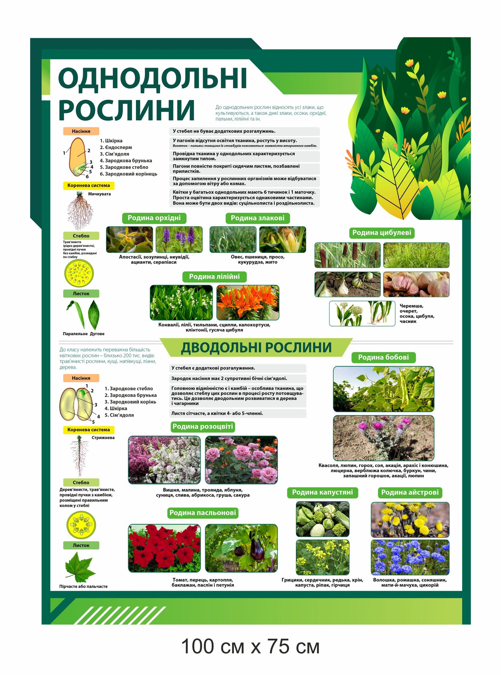 Стенди