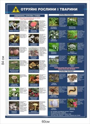 Стенд “Отруйні рослини і тварини України”